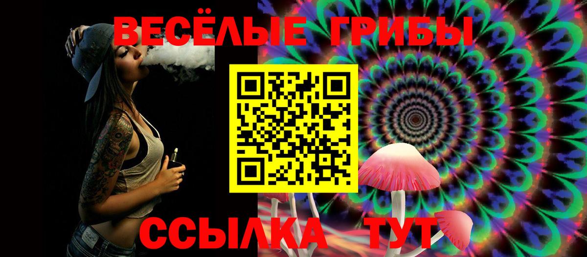 Галлюциногенные грибы MAGIC MUSHROOMS  Галлюциногенные грибы Psilocybine cubensis  Вход с VPN  Коммунар 