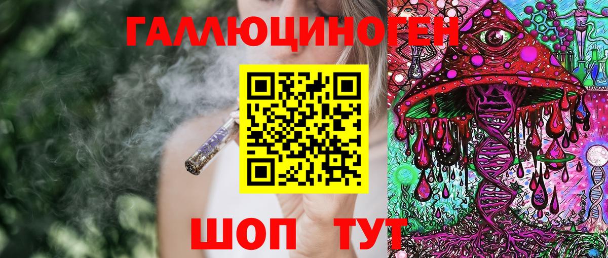 Галлюциногенные грибы Psilocybine cubensis Коммунар