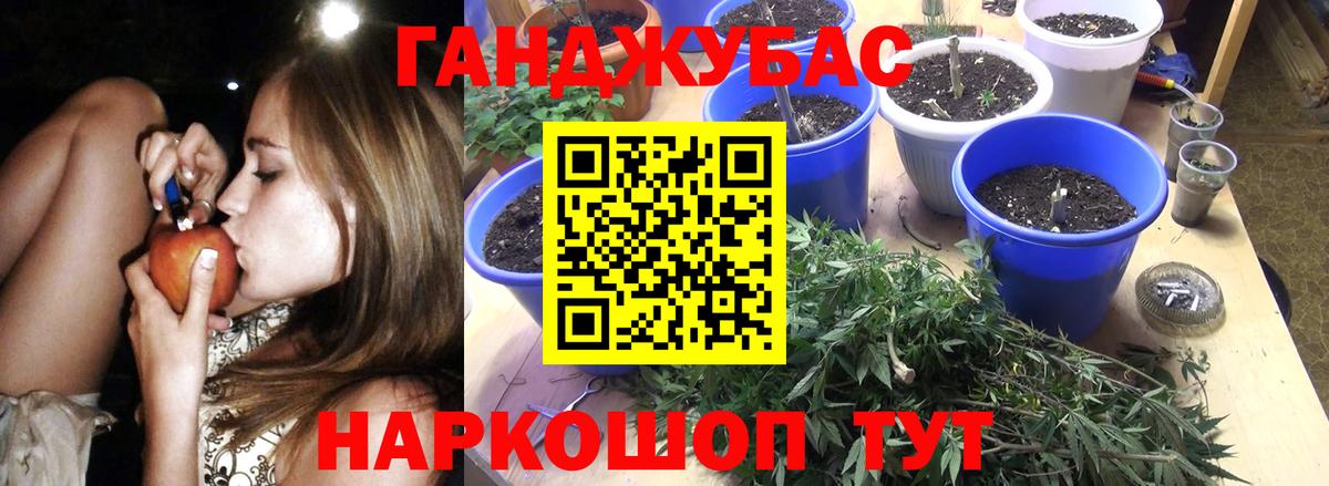 Конопля планчик Коммунар